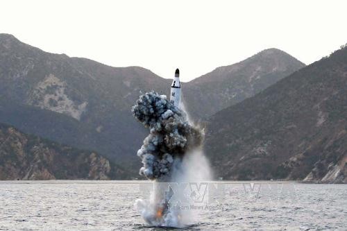 КНДР отвергает заявление СБ ООН с осуждением осуществленных в стране пусков балластических ракет  - ảnh 1